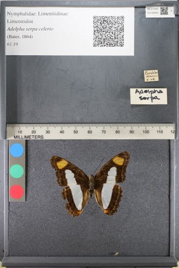 Media type: image;   Entomology 140910